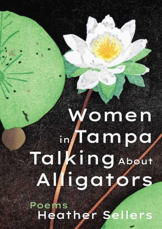 Women in Tampa Talking About Alligators Cover